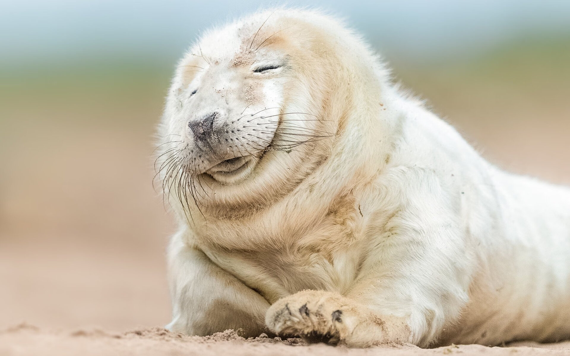 加维掌控比赛走势,土耳其与厄瓜多尔对决中的战术核心与胜负手