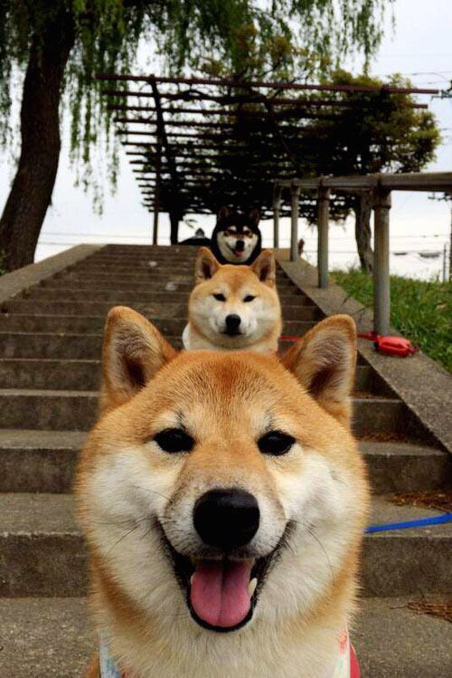 德甲争冠战焦点战，韩国险胜瑞典的足球启示