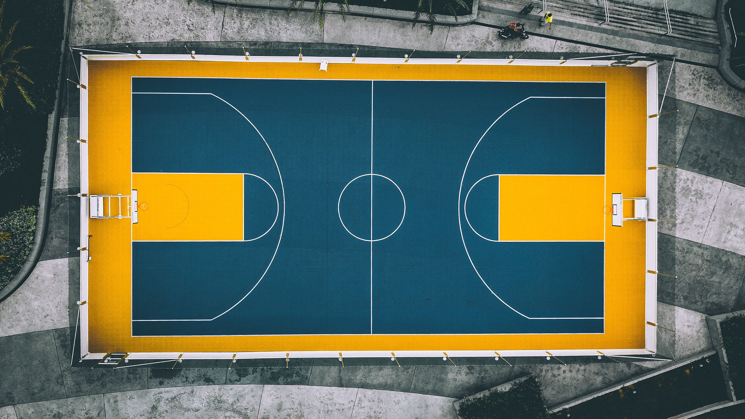 孤峰独峙，当荷兰战车碾过蓝黑之墙，贝林厄姆在英伦之巅加冕为王